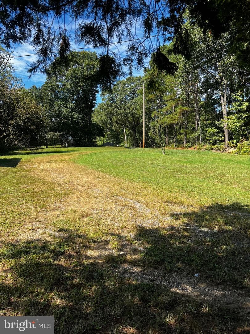 Mt Victoria Road photo 28