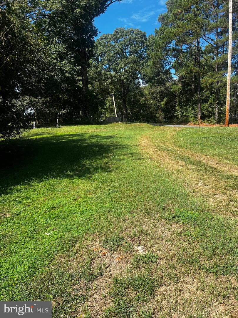 Mt Victoria Road photo 42