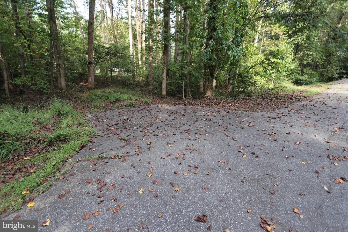 8798 Gunston Road photo 58