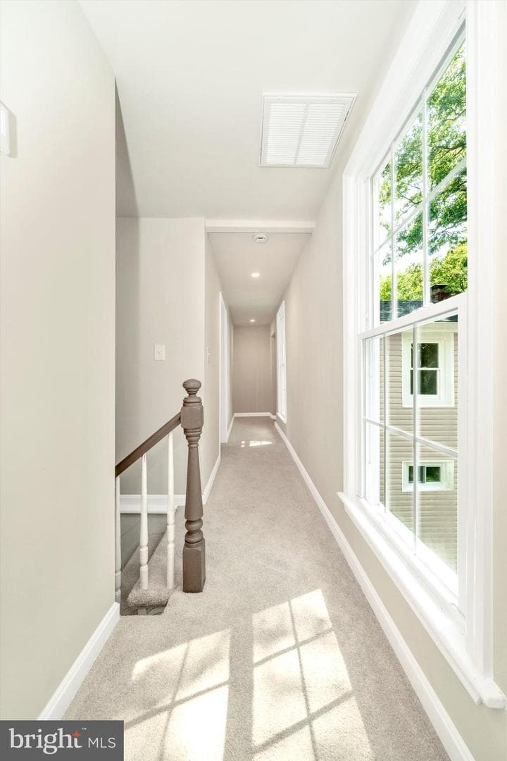 21 Mattingly Avenue photo 24