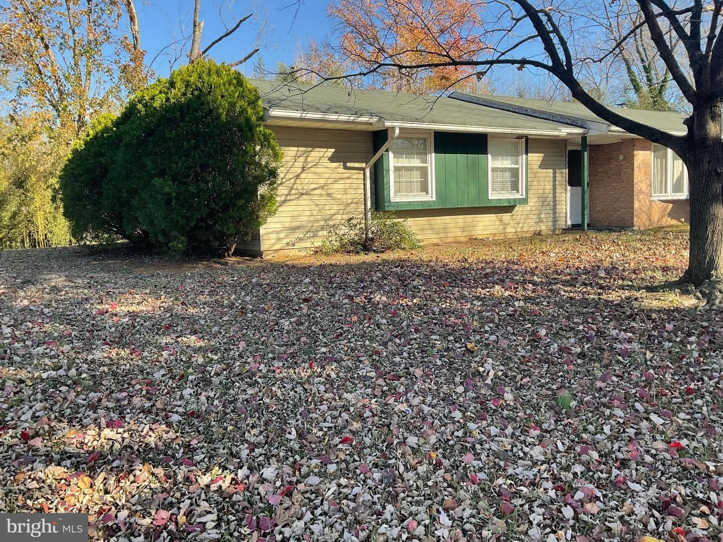 3203 Pinefield Circle photo 26