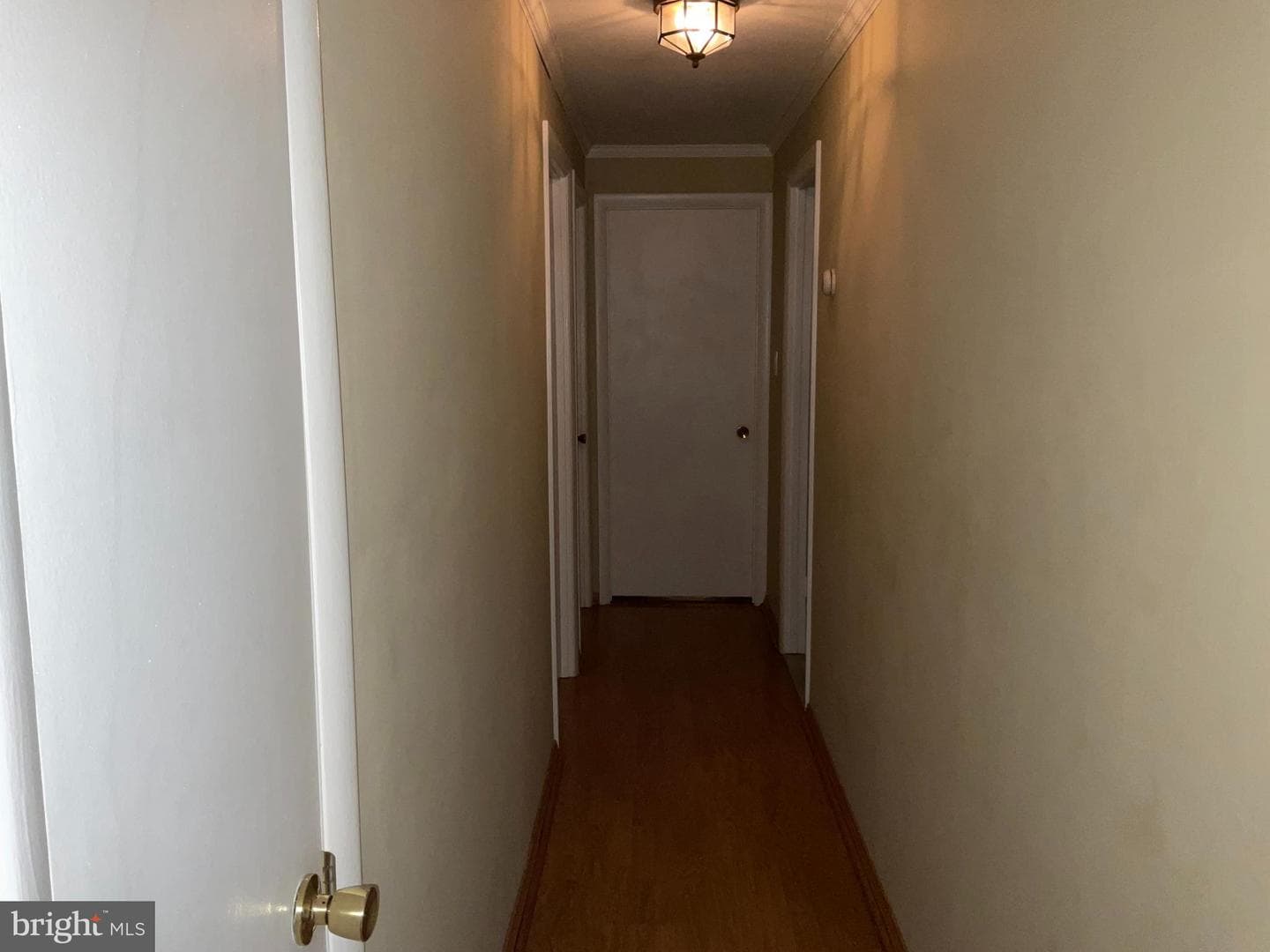 3203 Pinefield Circle photo 9