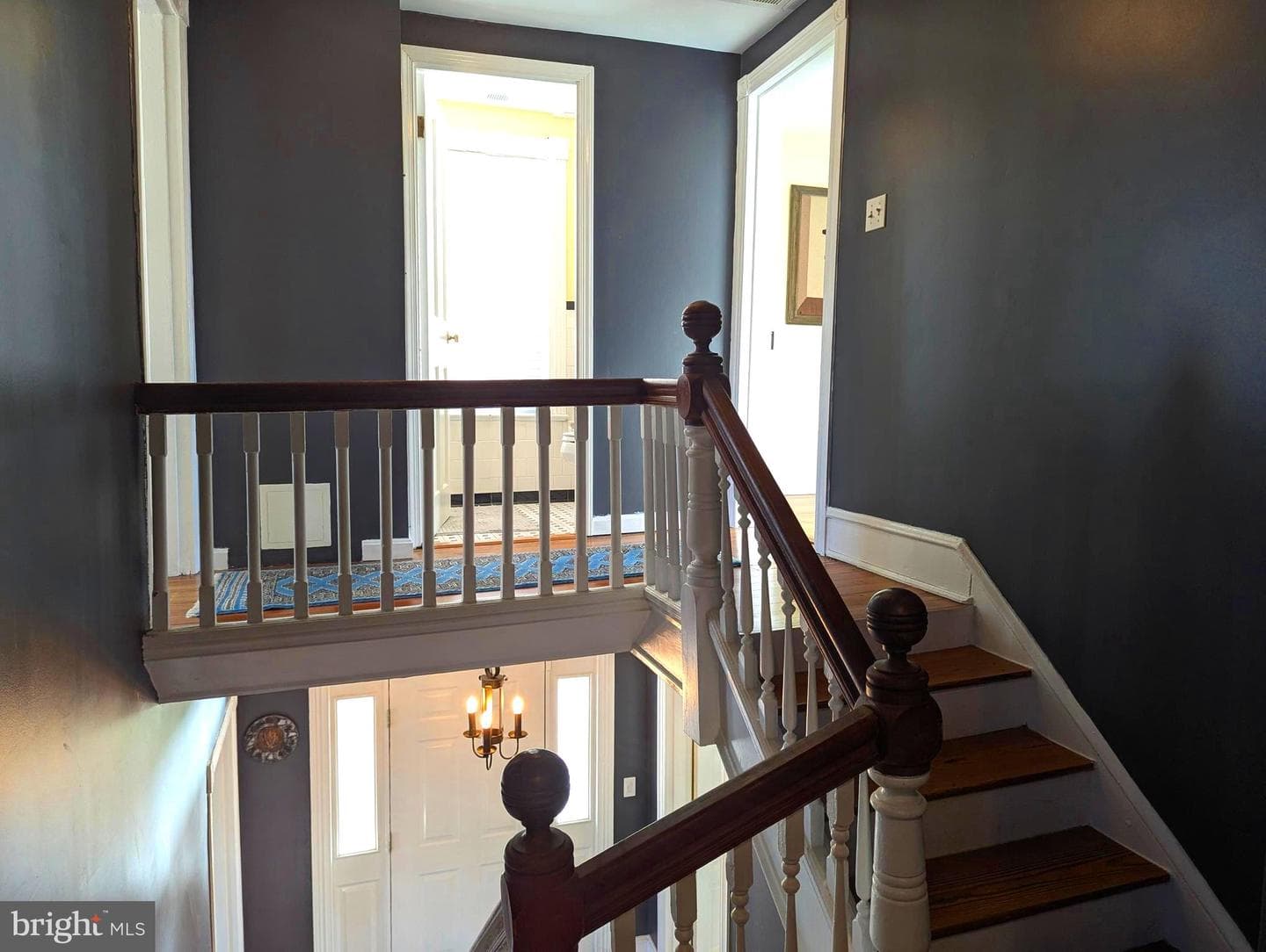 13300 Beach Haven Circle photo 44
