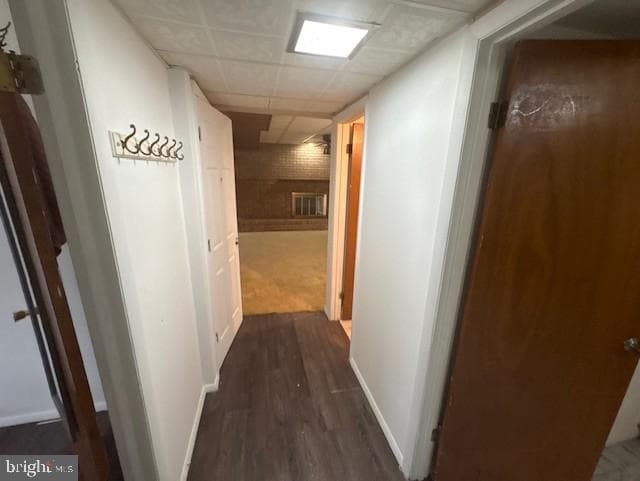 2254 Bridle Path Drive photo 24