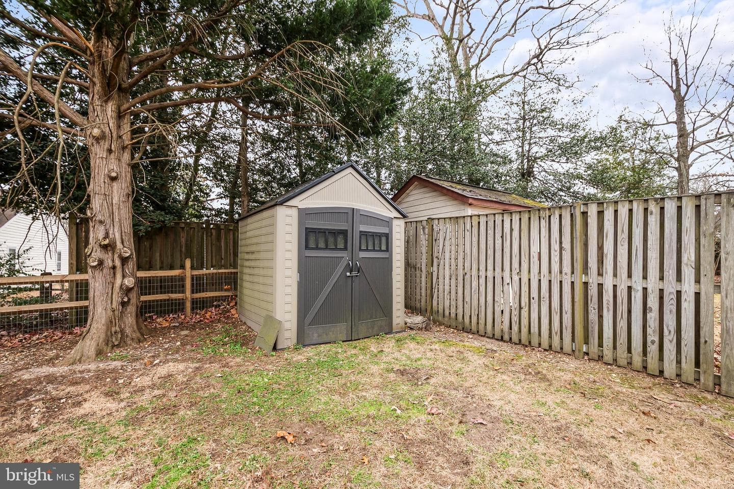3577 Snowbell Court photo 27