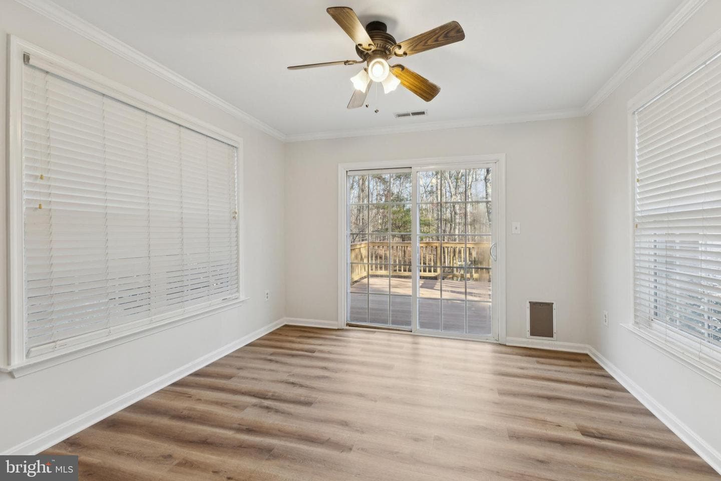 3801 Molly Miller Court photo 7
