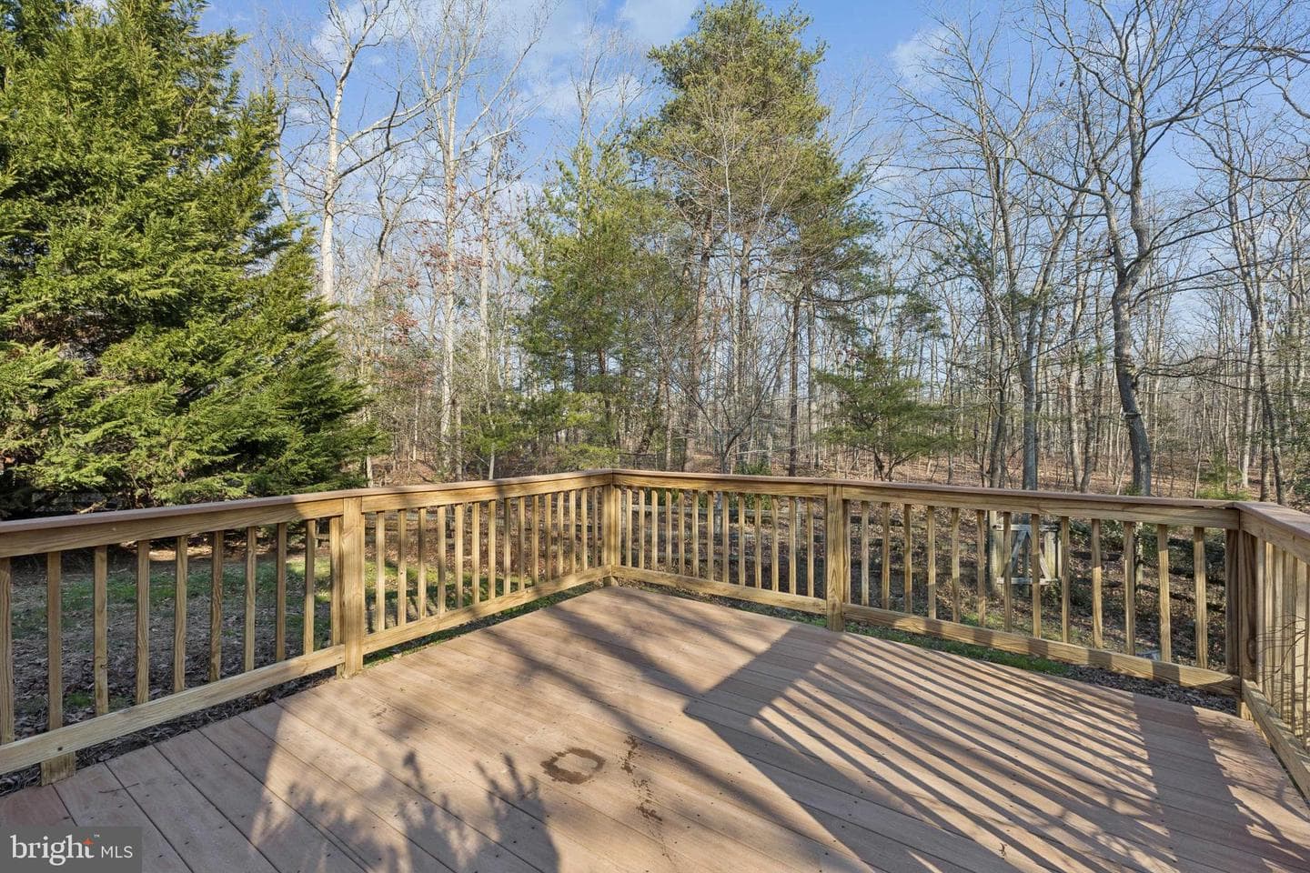 3801 Molly Miller Court photo 8