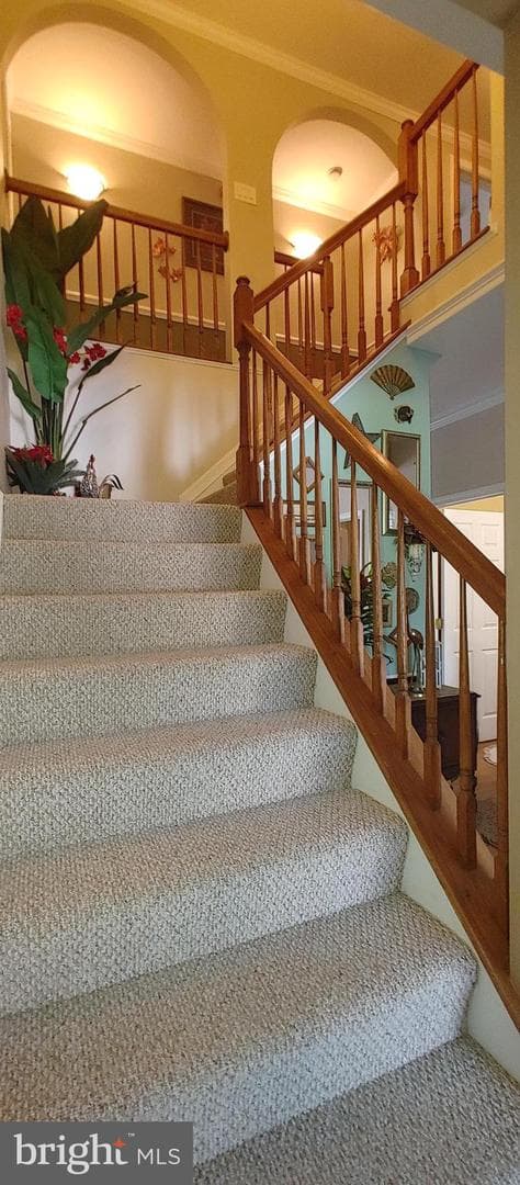 6655 Birchwood Place photo 6