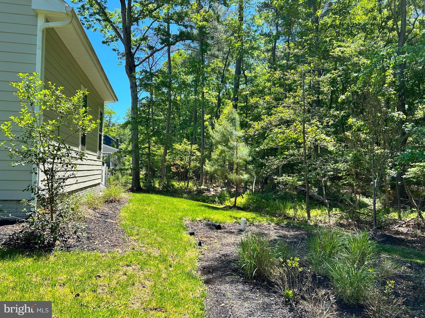 11521 Beacon Hill Court photo 8