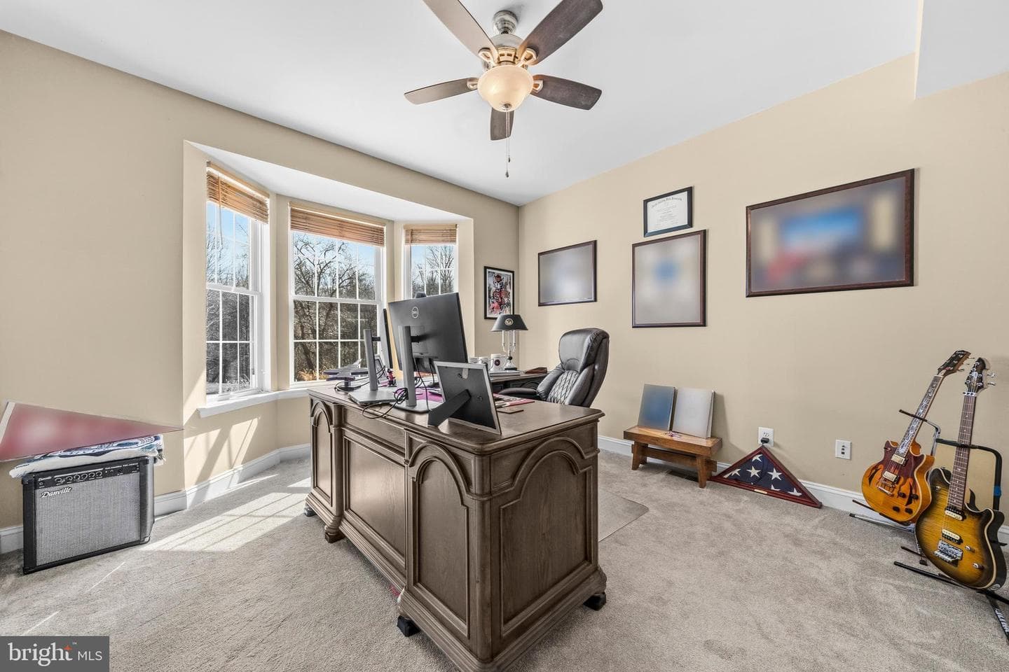8715 Hill Spring Drive photo 46