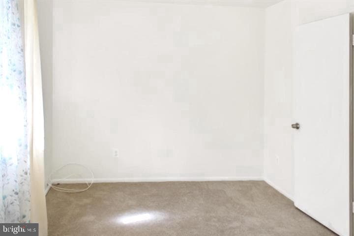 11841 Oak Manor Drive #39 photo 15