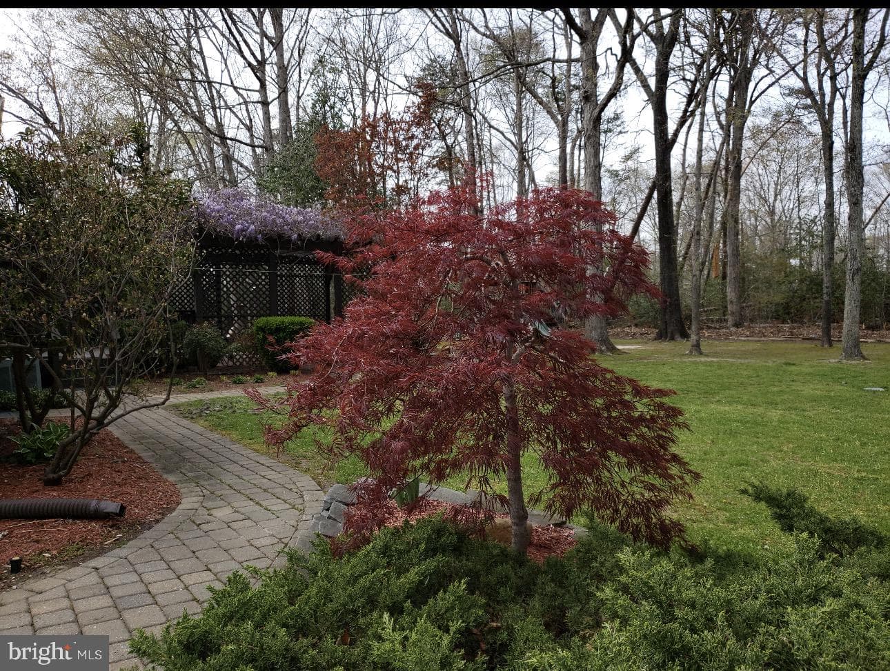 11460 Laplata Road photo 33