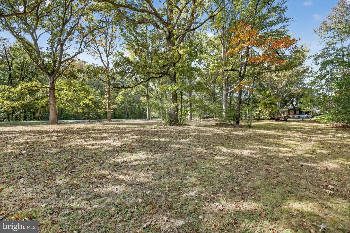 7532 Bumpy Oak Road photo 37