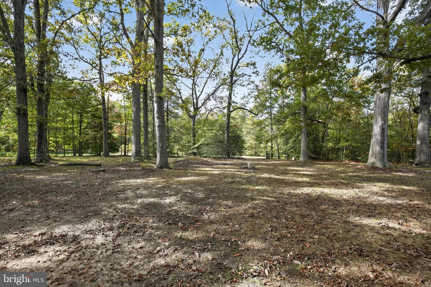 7532 Bumpy Oak Road photo 38