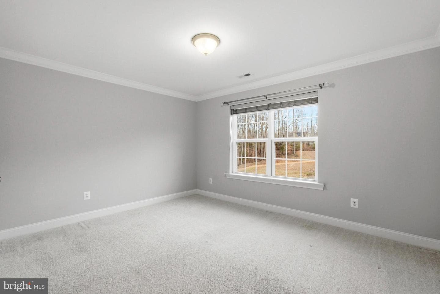 7930 Justice Chase Ct photo 67