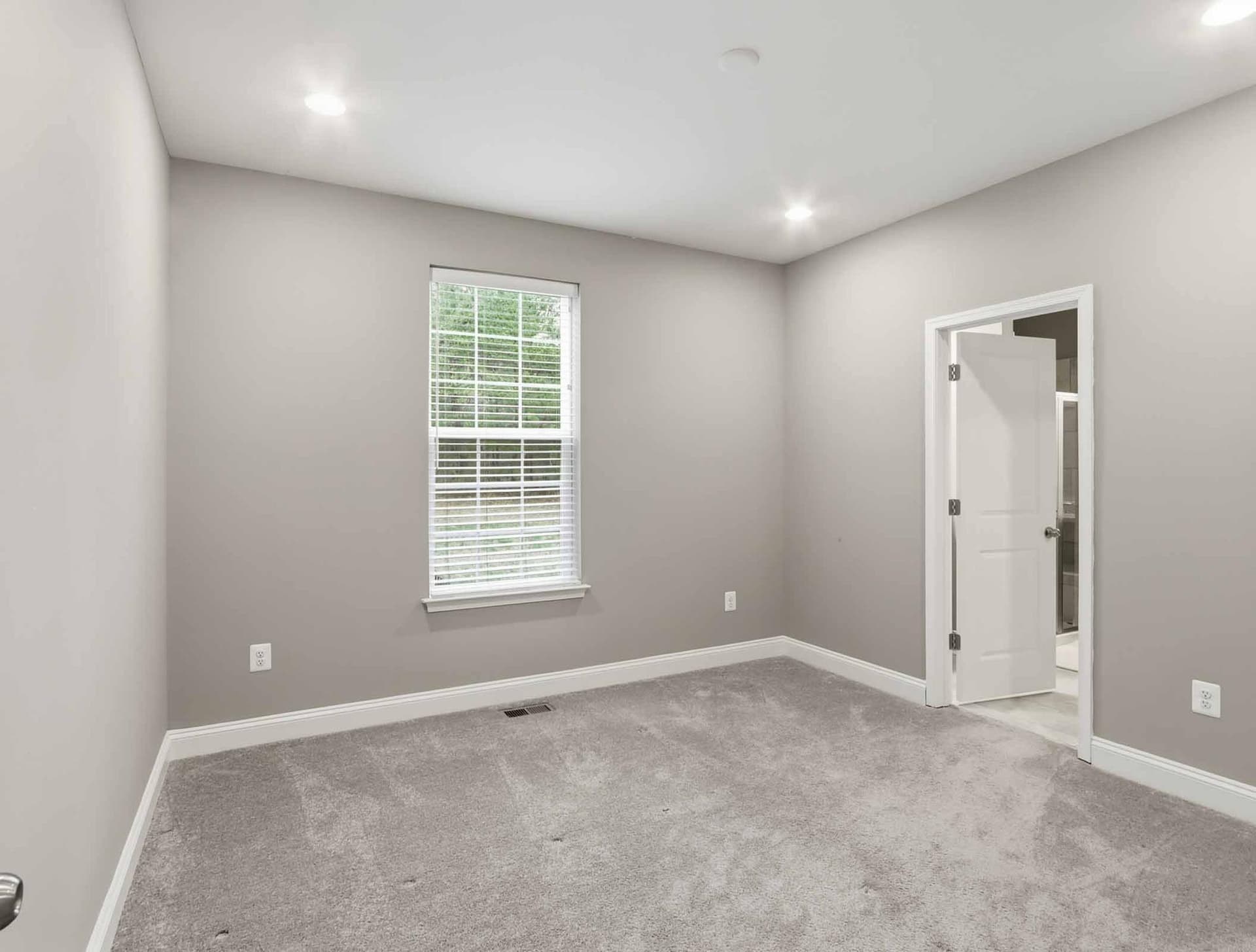 4475 Irish Peach Court photo 13