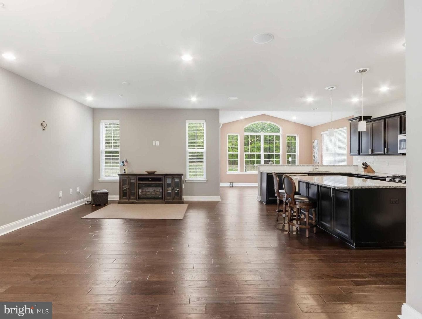 4475 Irish Peach Court photo 8