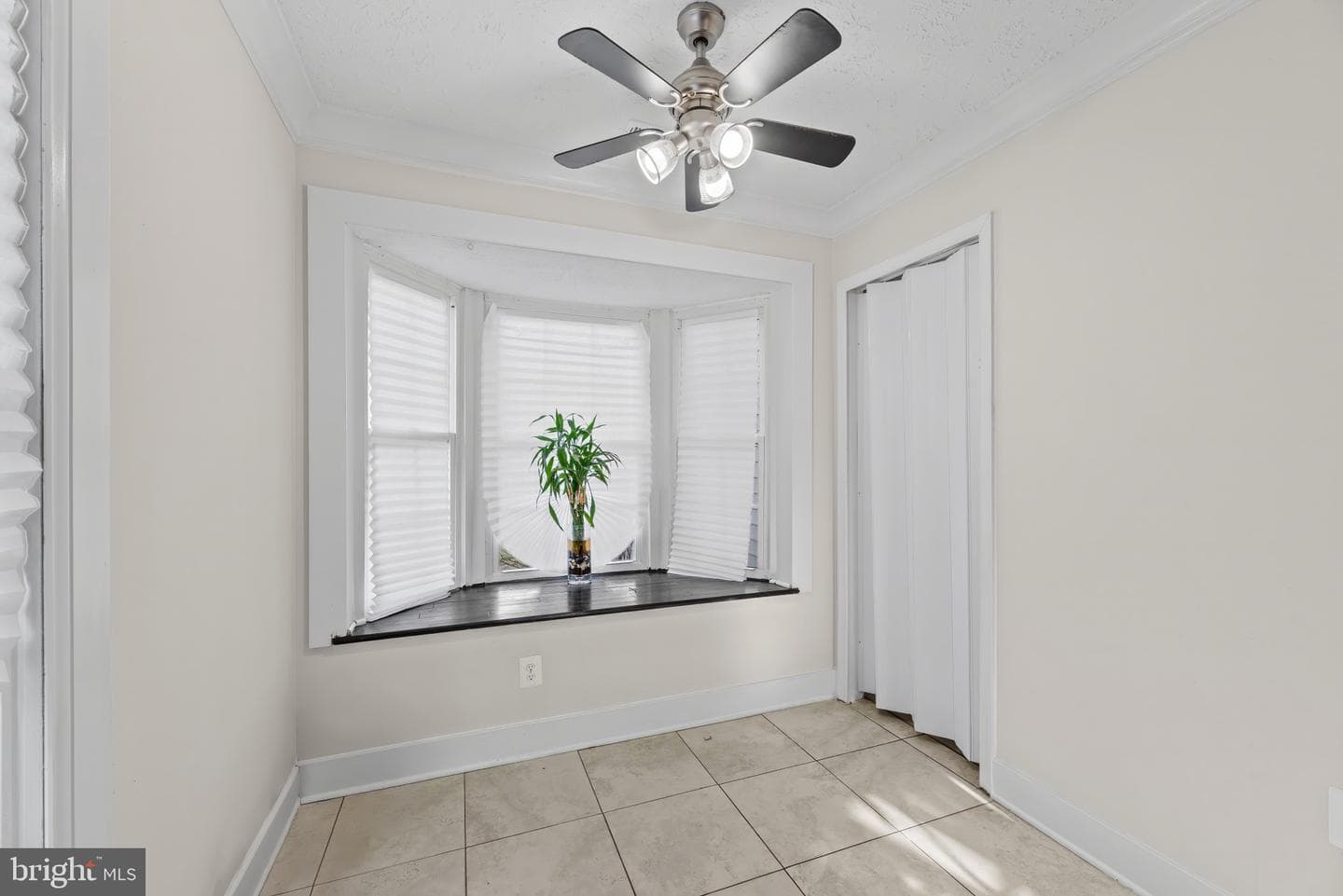 6227 Seal Place photo 21