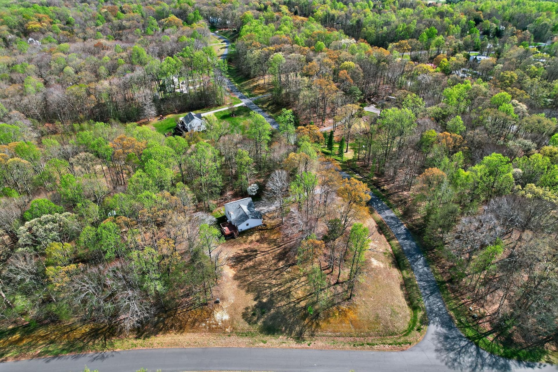 4800 Blueberry Drive photo 3