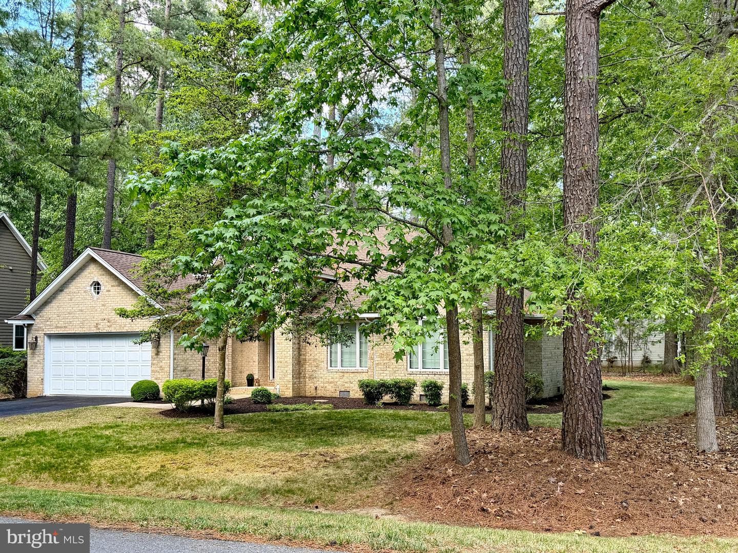 14890 Ivanhoe Court photo 6