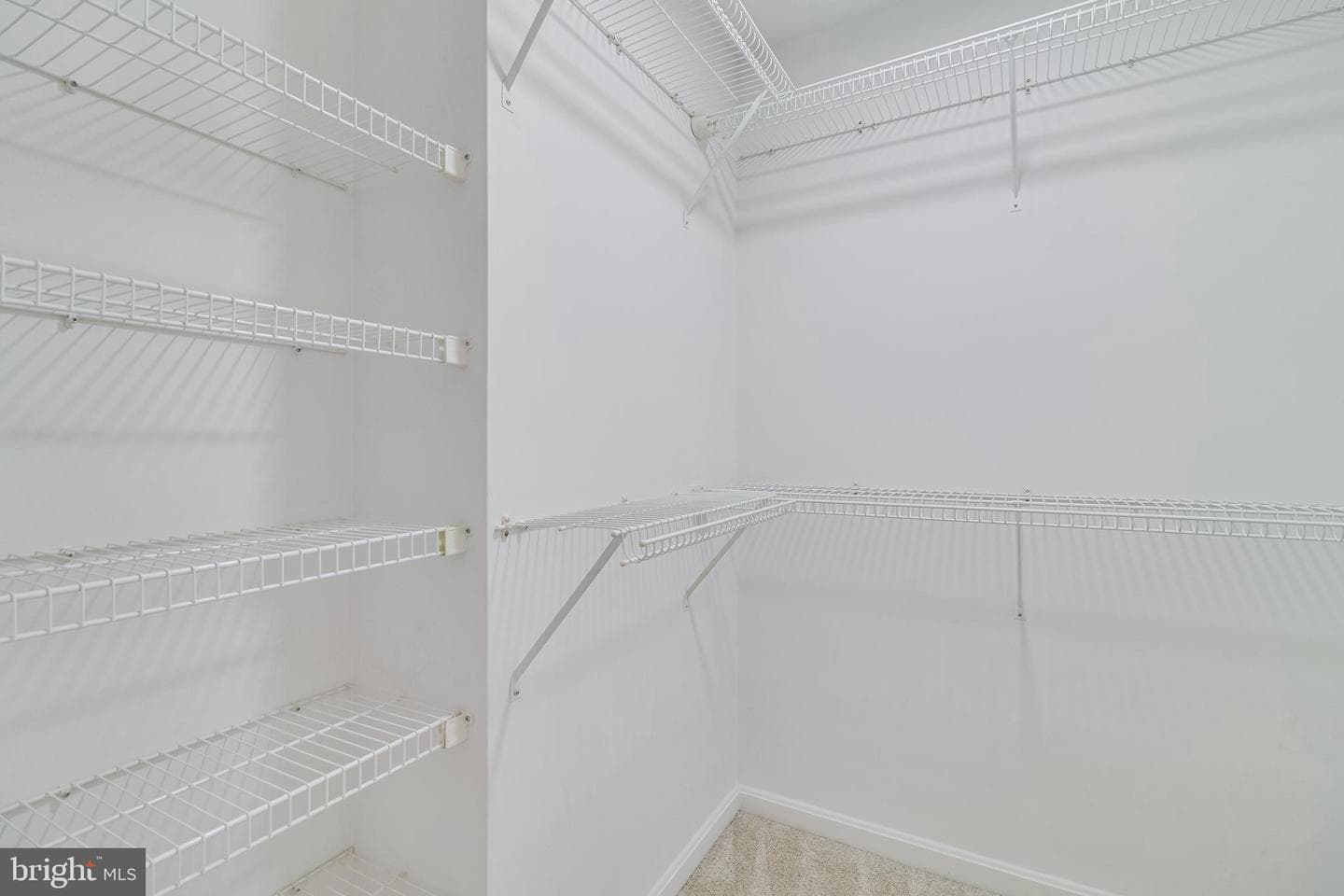 7910 Dartmoor Place photo 49