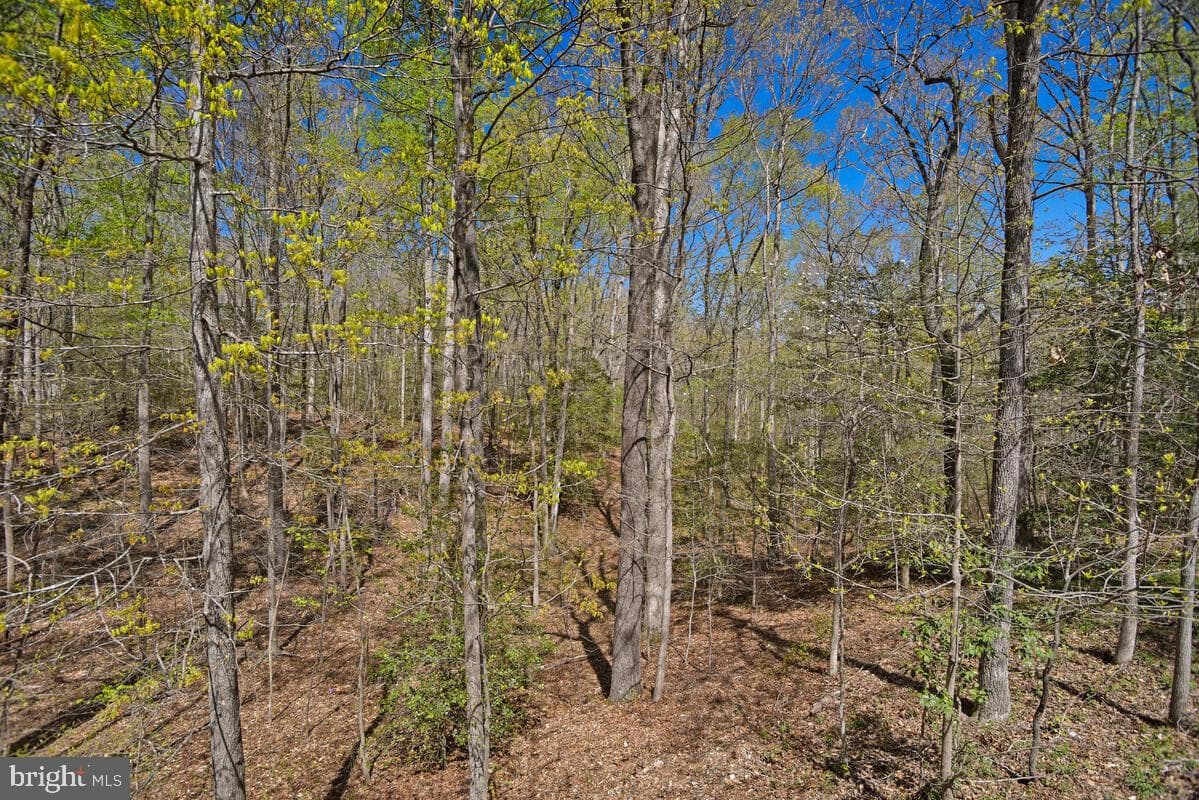 15410 Sorrel Ridge Lane photo 38