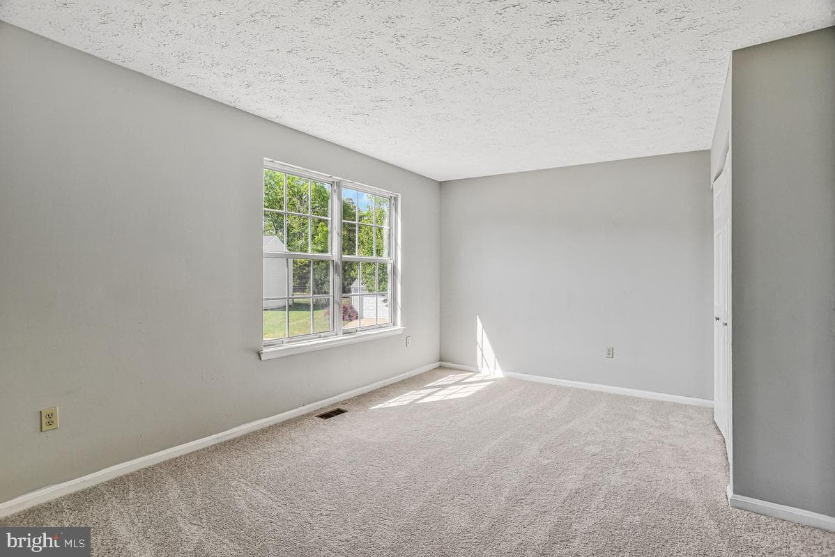 5302 Treefish Court photo 29