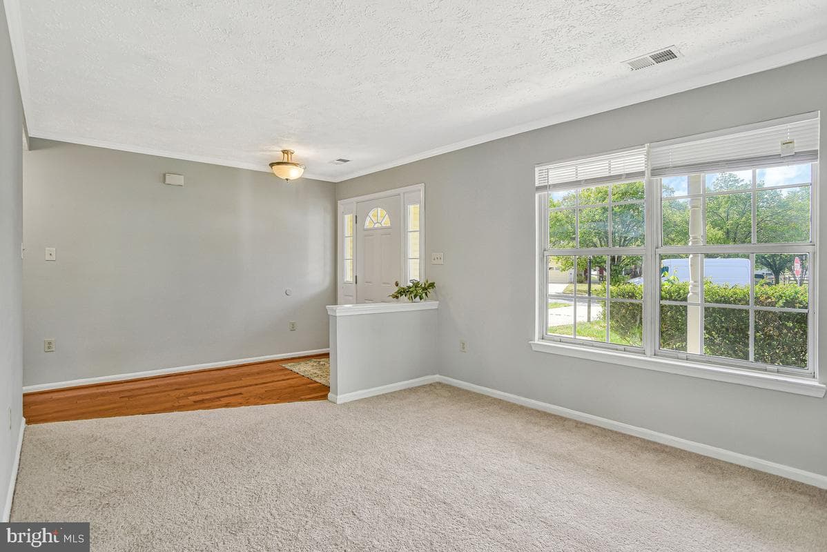 5302 Treefish Court photo 5