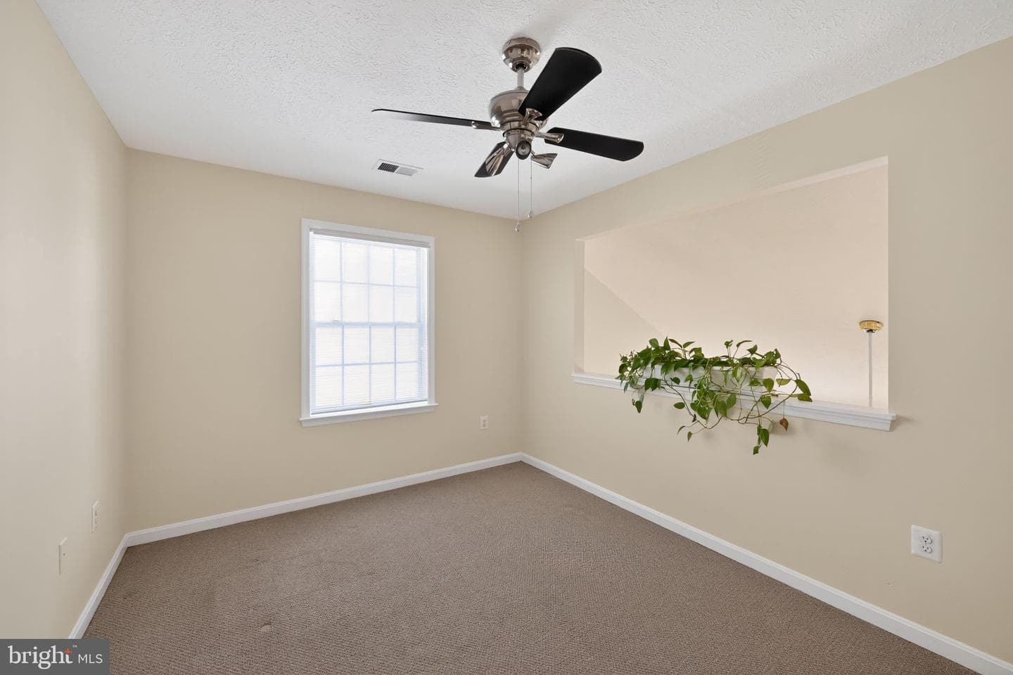 10325 Cassidy Court photo 22
