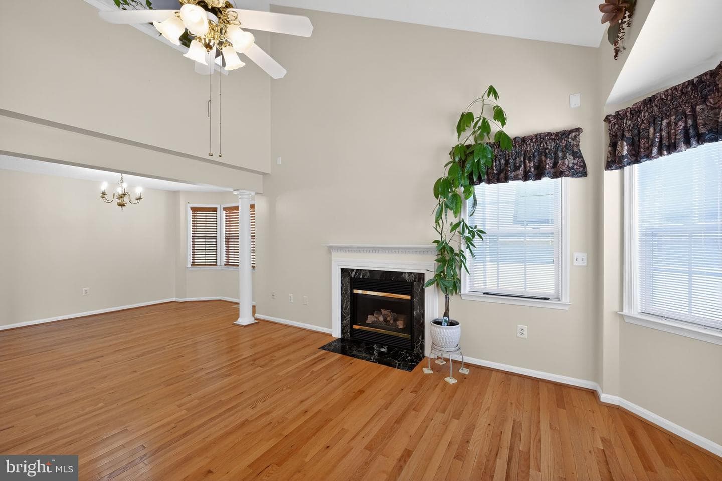 10325 Cassidy Court photo 6