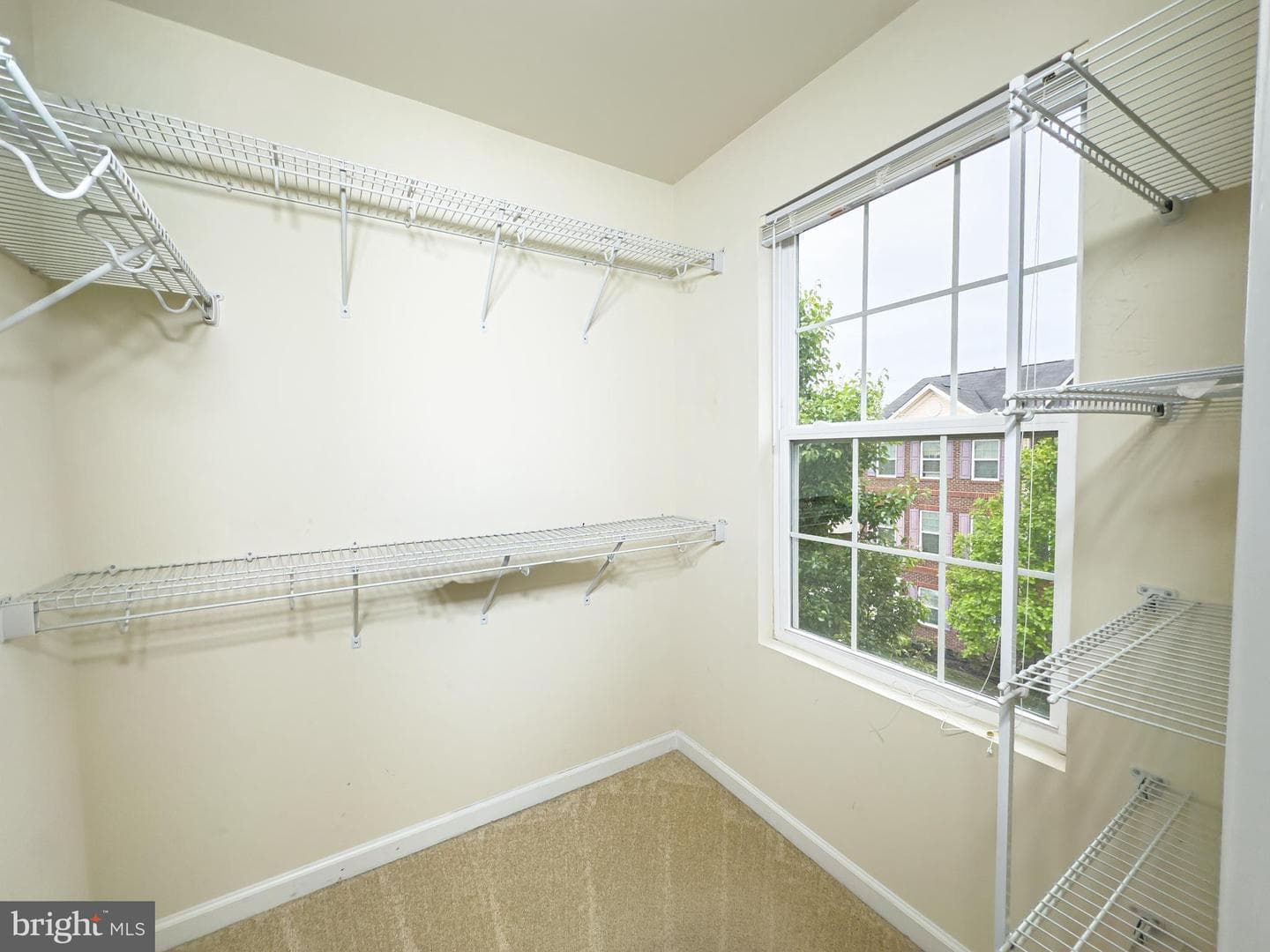 2852 Hedgerow Place photo 13