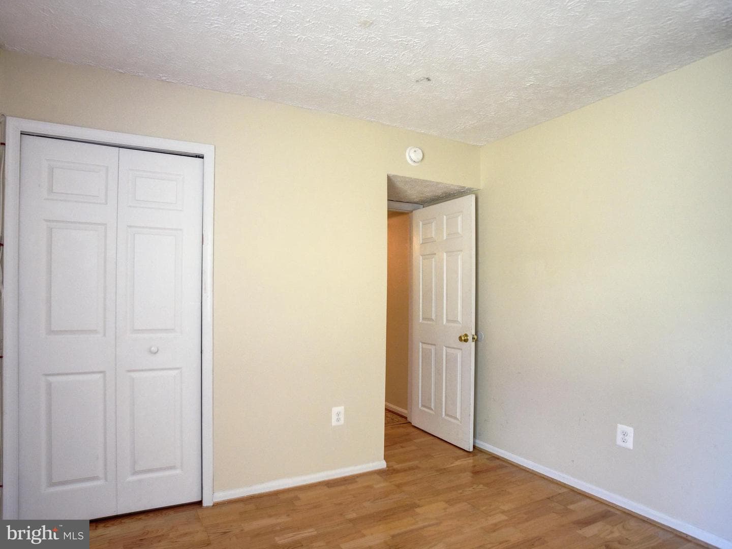10389 Chamberlin Court E photo 29