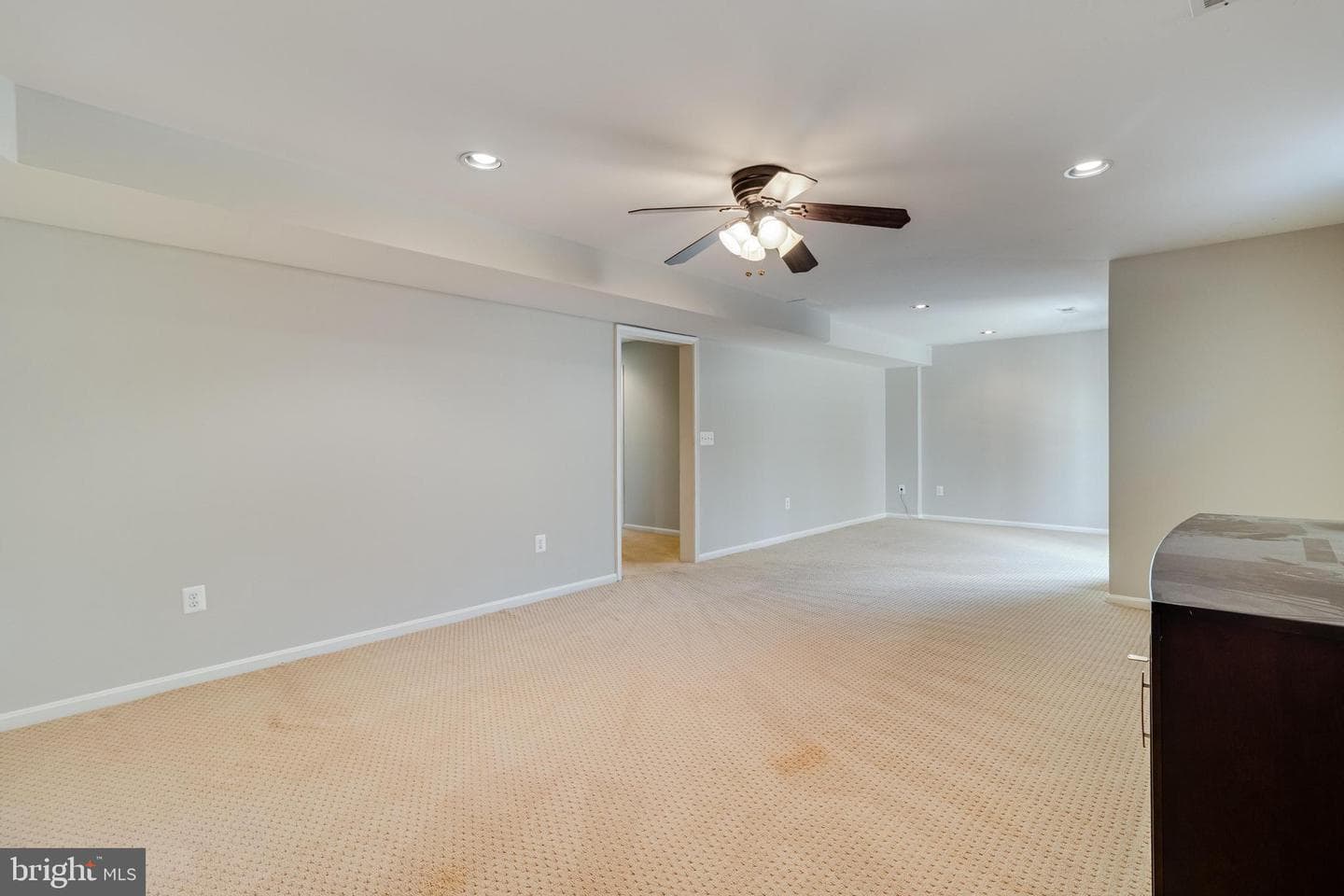 8800 Hill Spring Drive photo 60