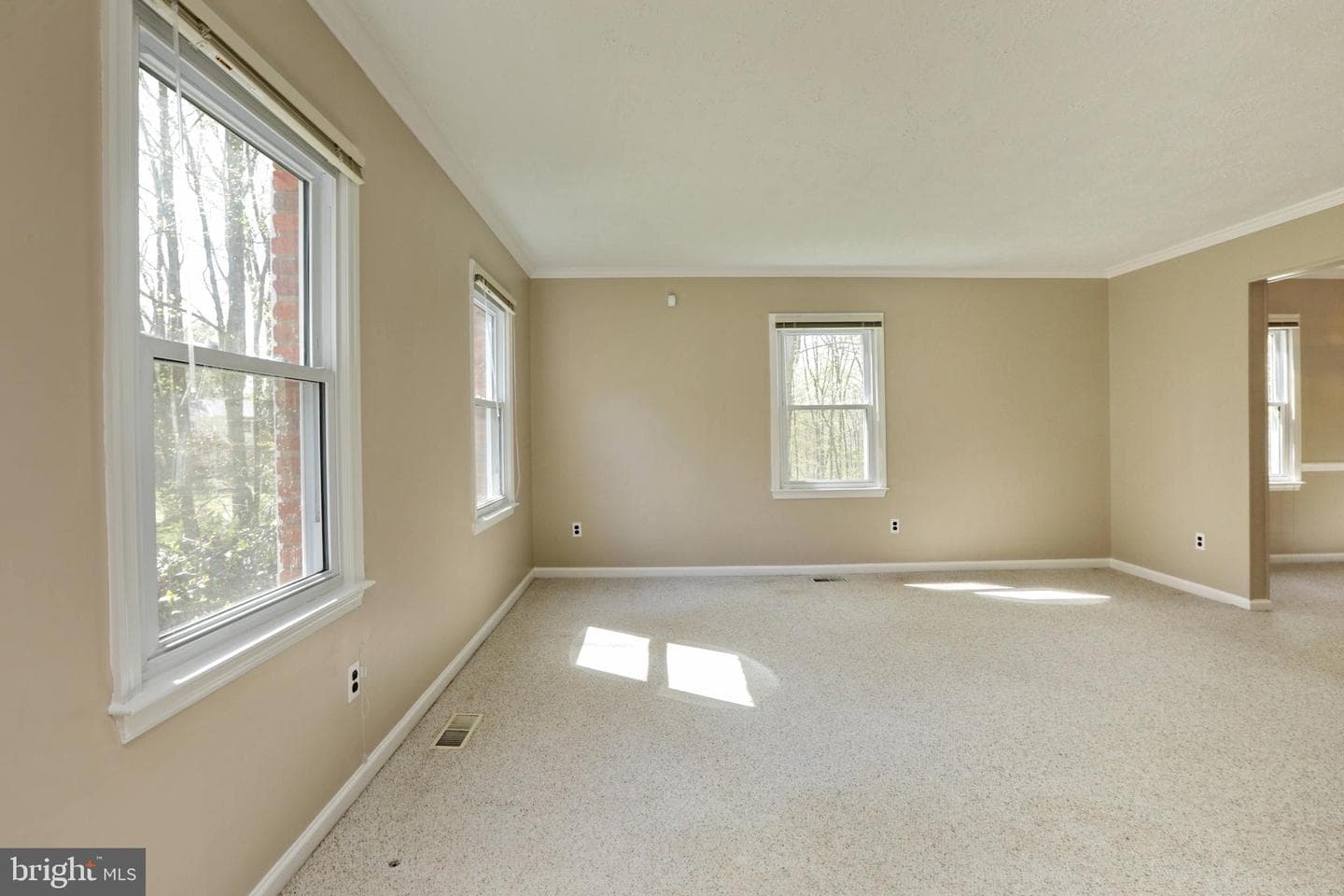 4255 Shelton Dr photo 10