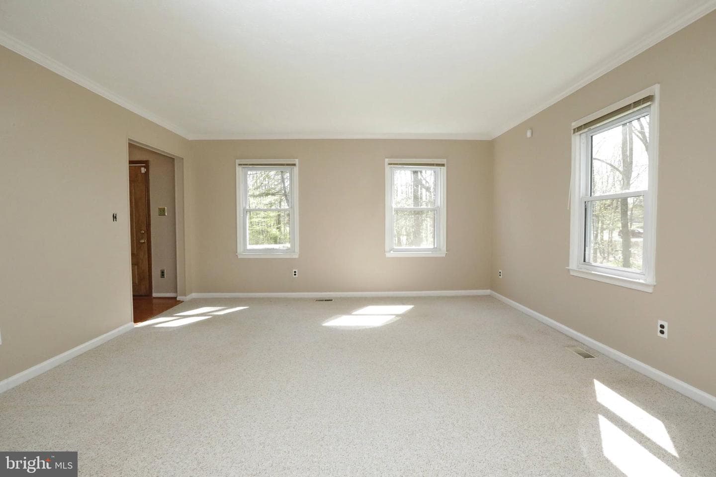 4255 Shelton Dr photo 11