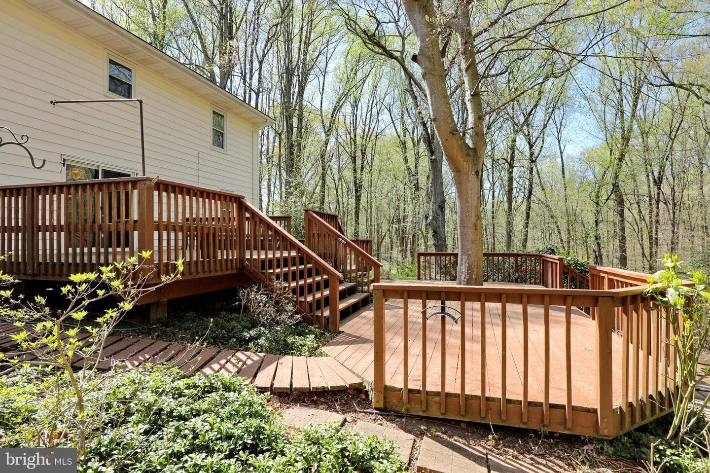 4255 Shelton Dr photo 3
