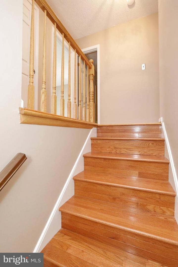 4255 Shelton Dr photo 38