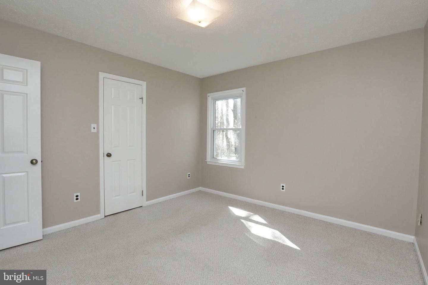 4255 Shelton Dr photo 47