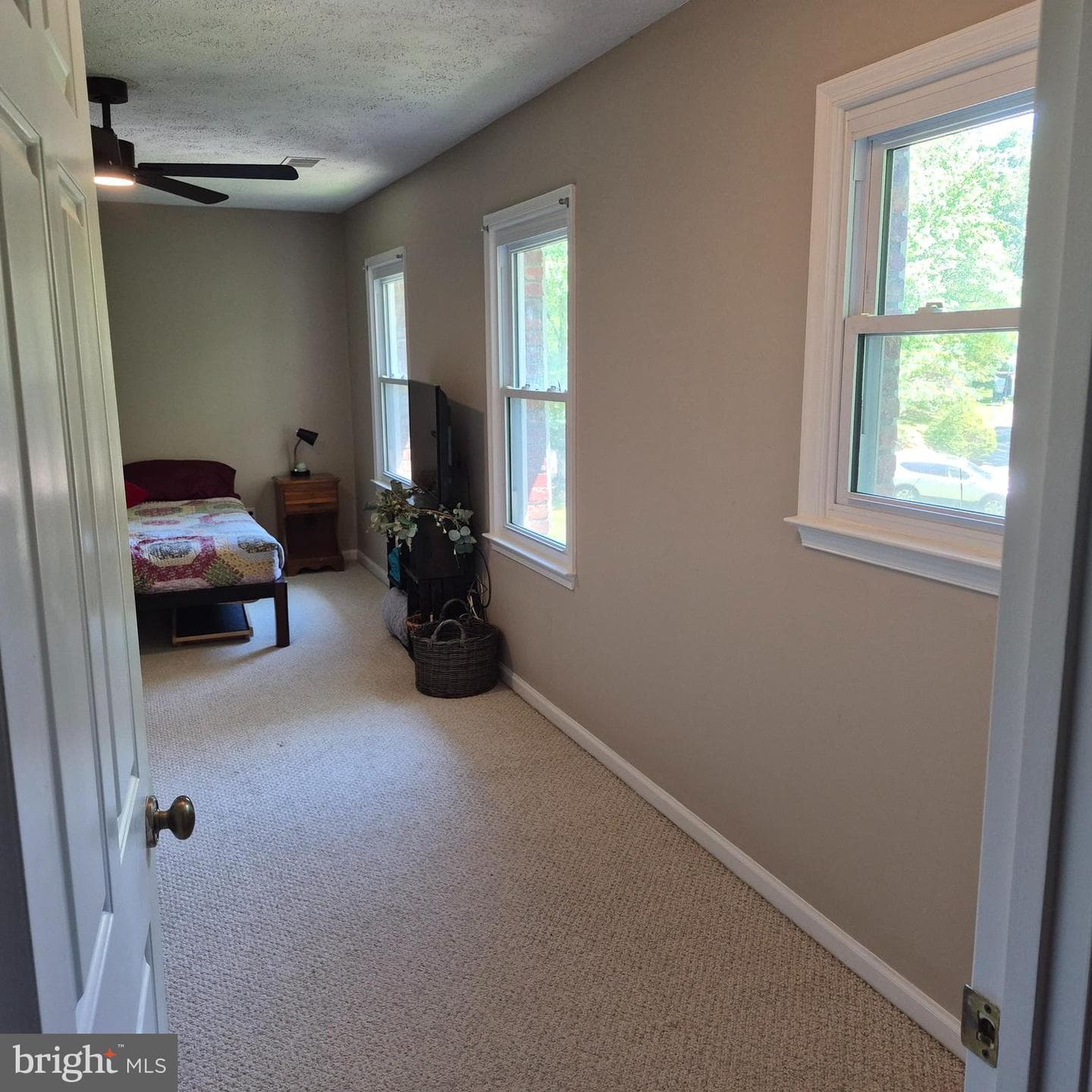 4255 Shelton Dr photo 56