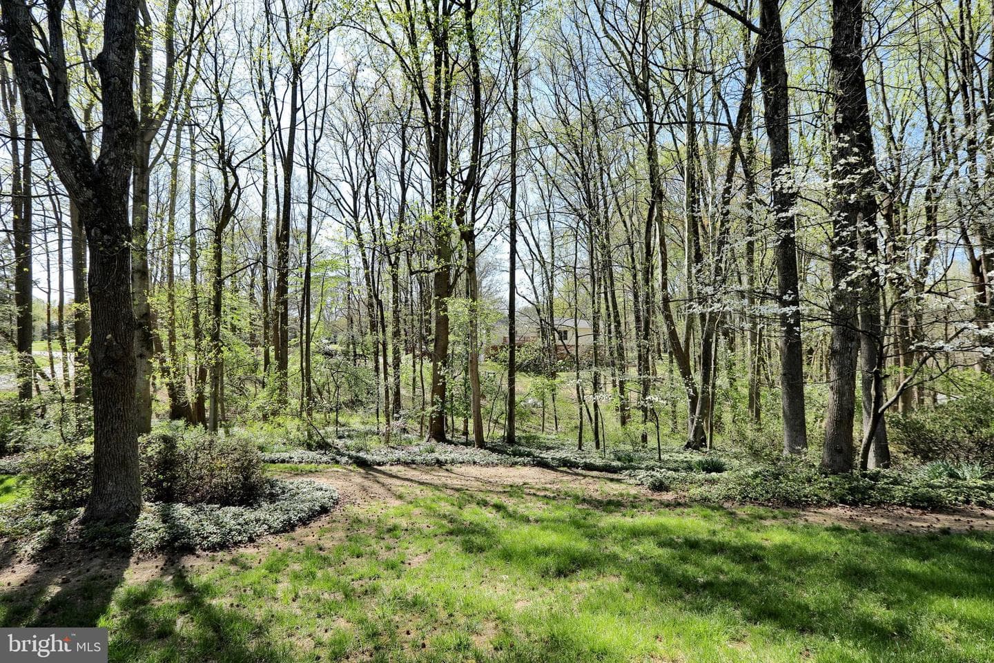 4255 Shelton Dr photo 77
