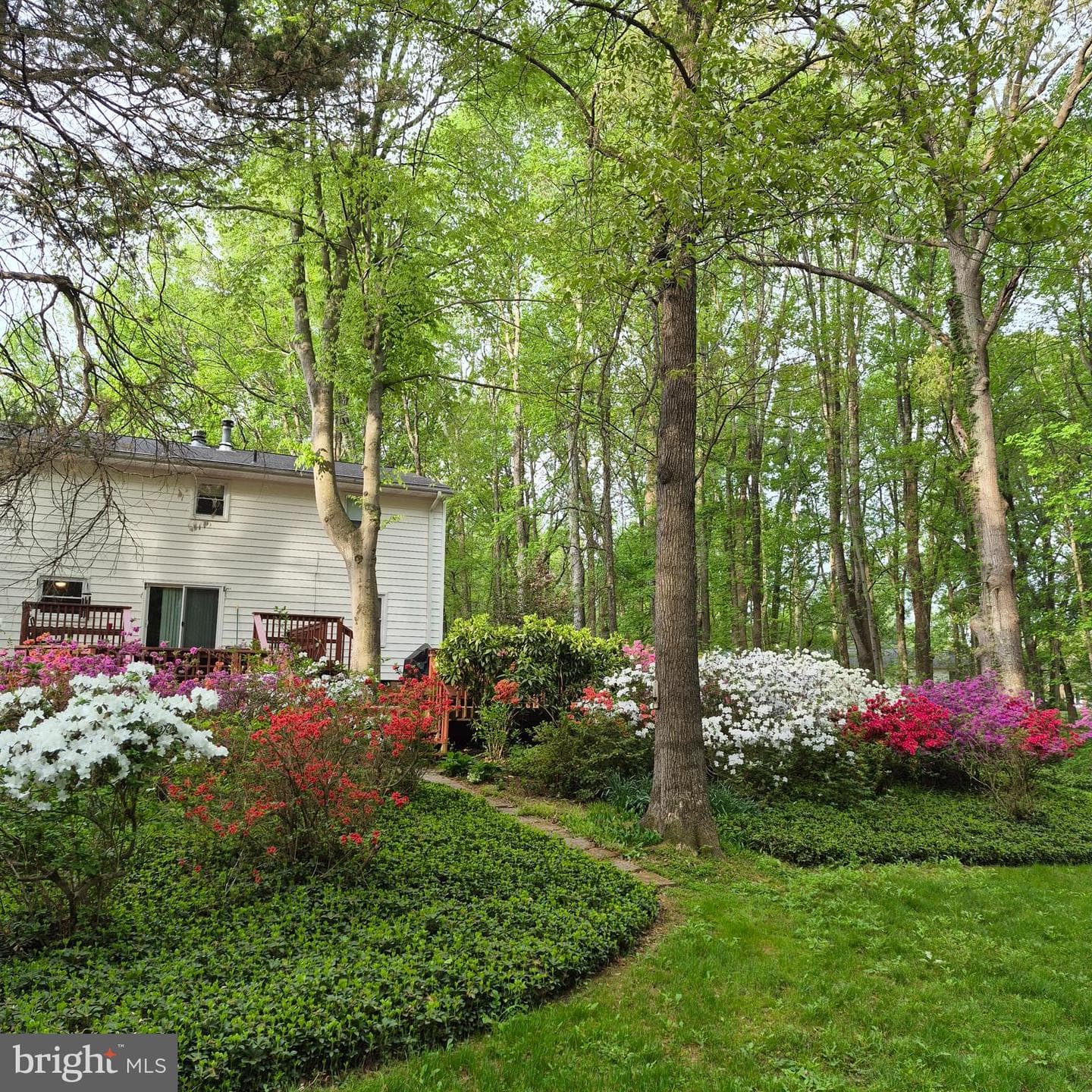 4255 Shelton Dr photo 82