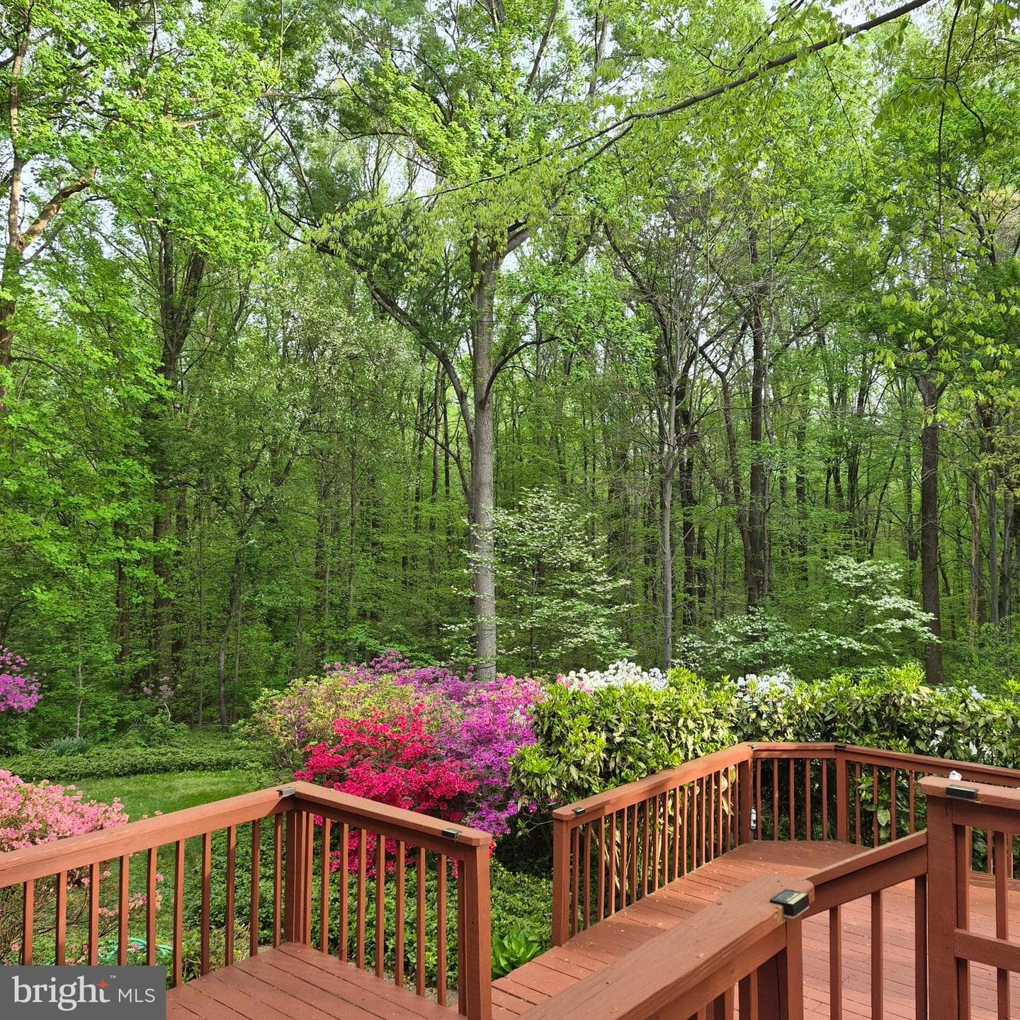 4255 Shelton Dr photo 83