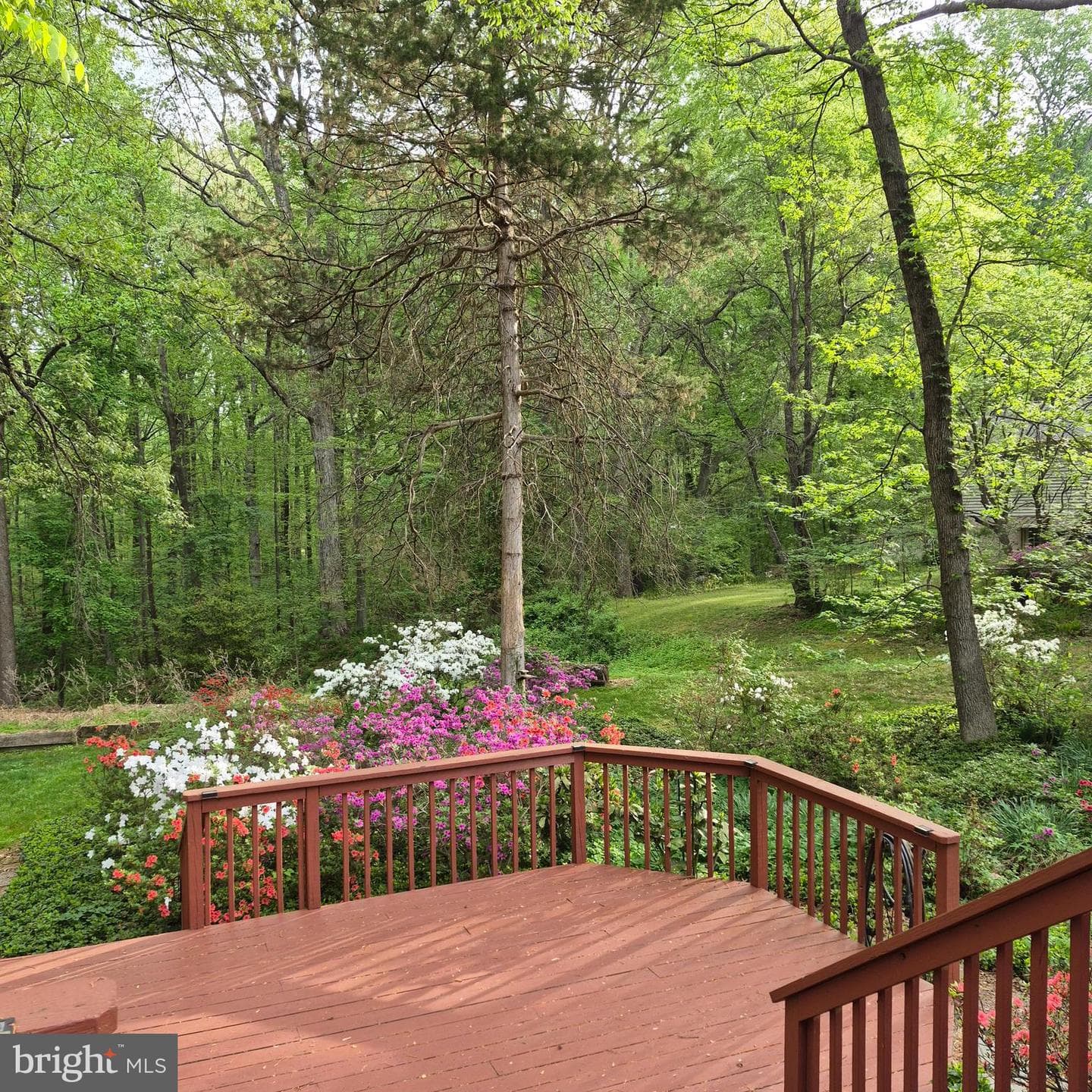 4255 Shelton Dr photo 84