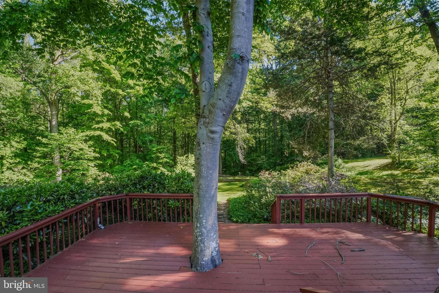 4255 Shelton Dr photo 88