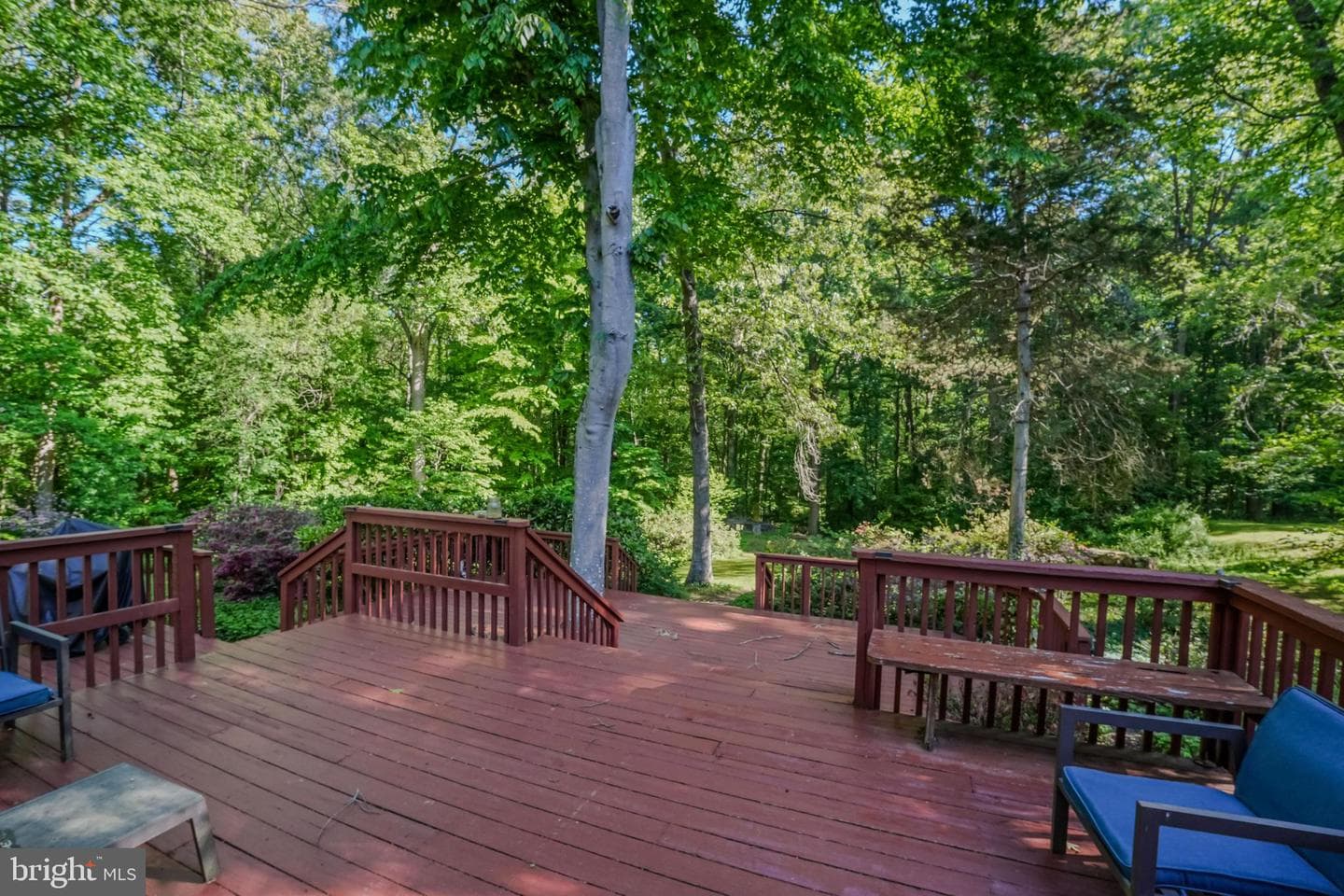 4255 Shelton Dr photo 91