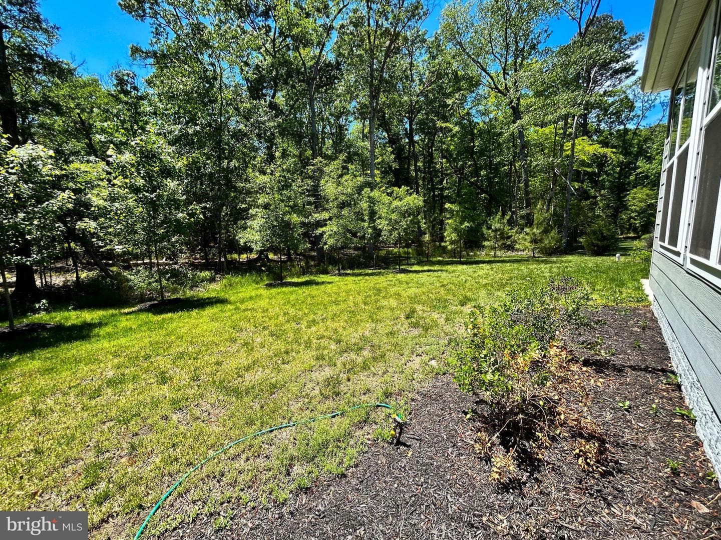 11551 Beacon Hill Court photo 10
