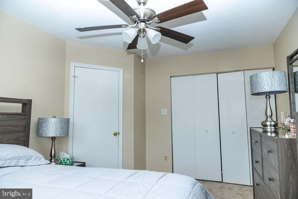 29 Dale Drive photo 19