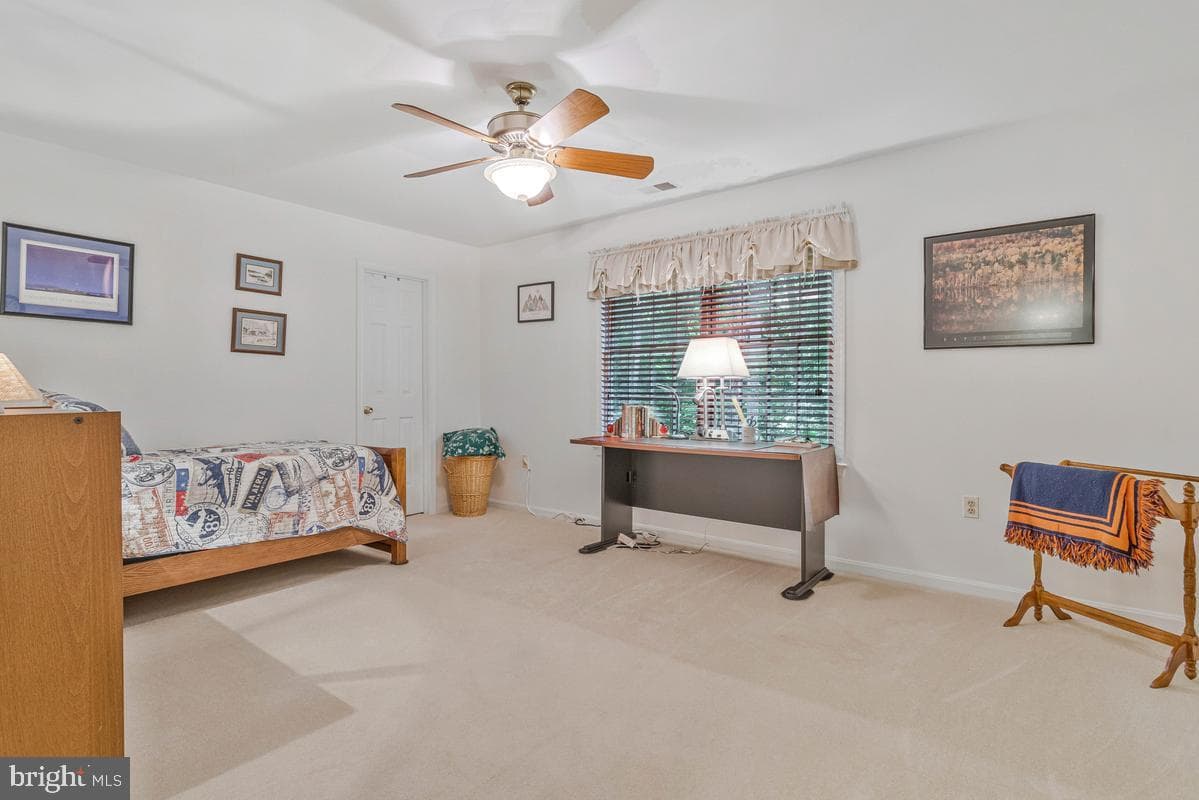 8809 Cottongrass Street photo 46