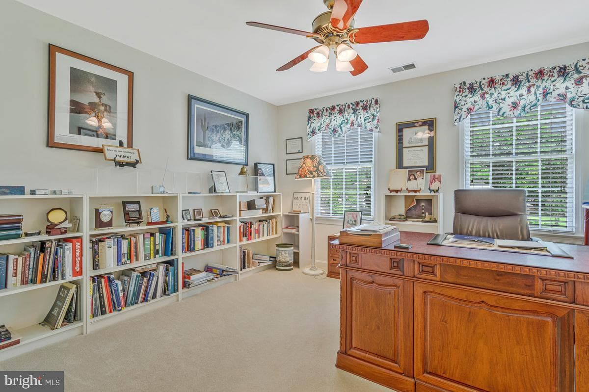 8809 Cottongrass Street photo 49