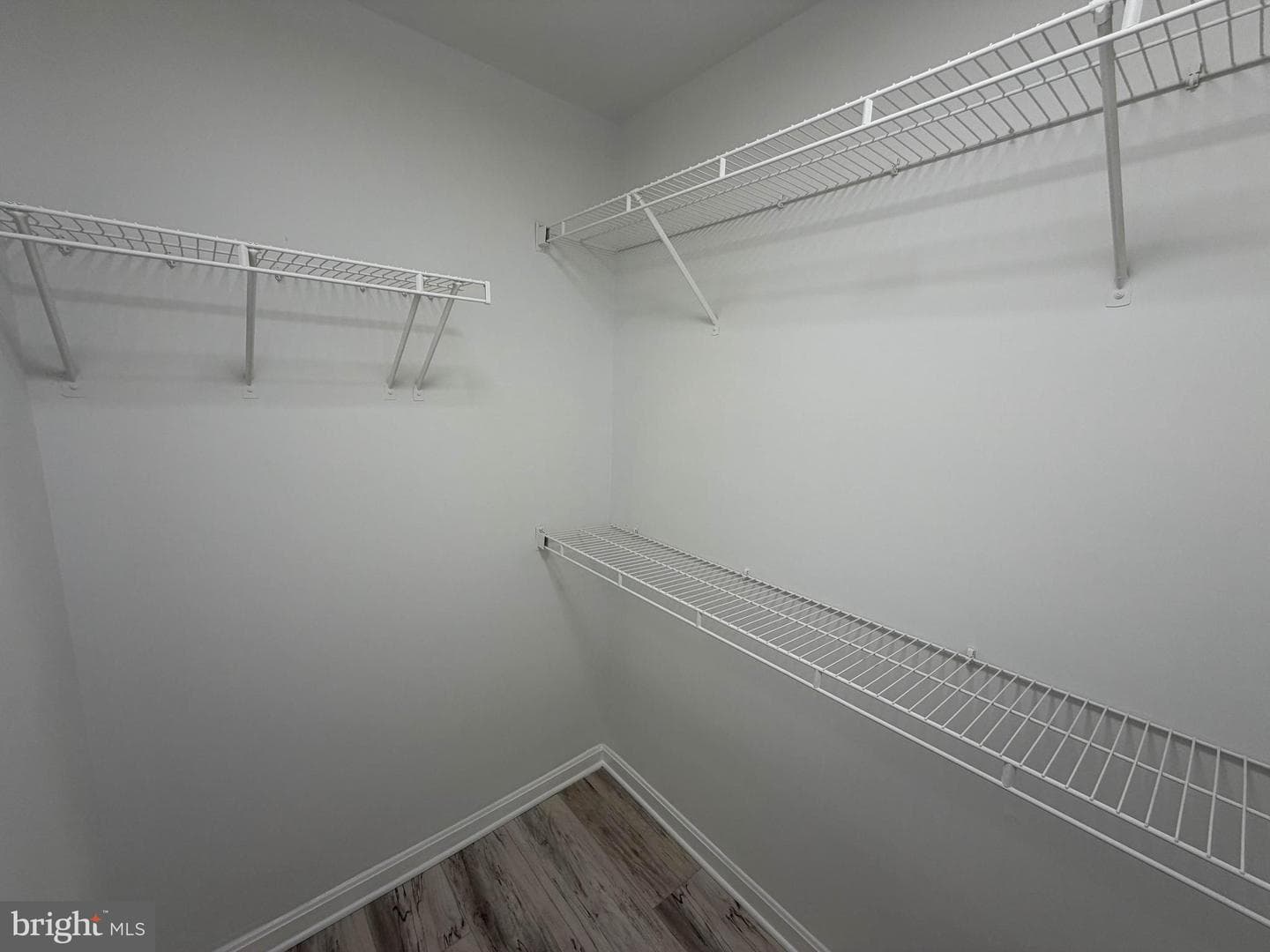 2980 Mourning Dove #f photo 68